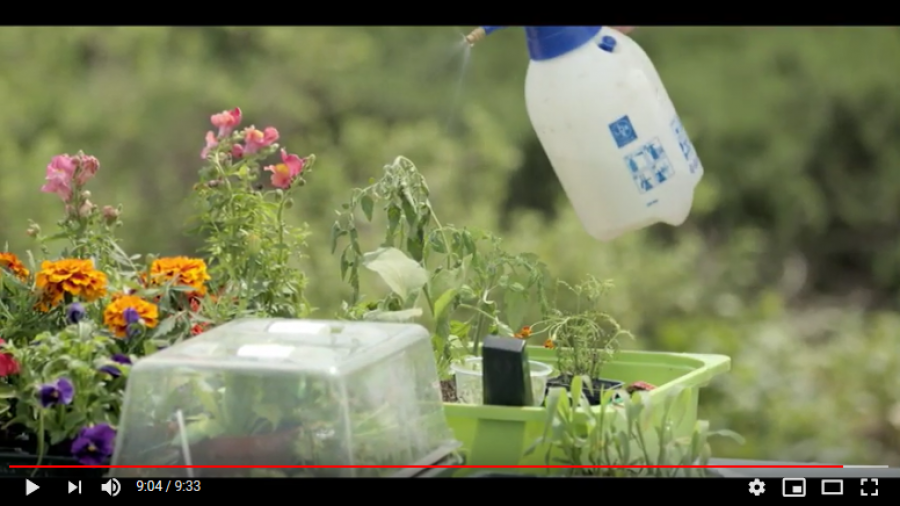 Ο κήπος τον Μάιο!